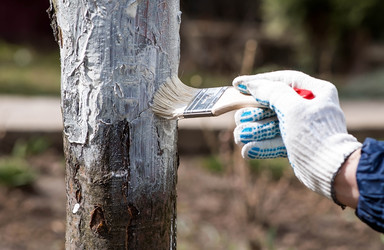 Similar image 22101191