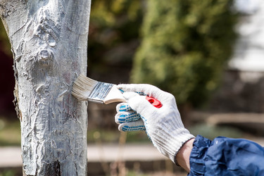 Similar image 22101193