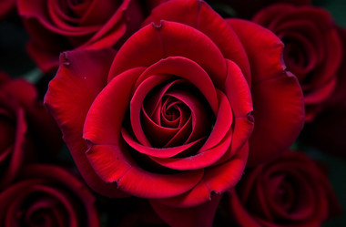 Similar image 22107744