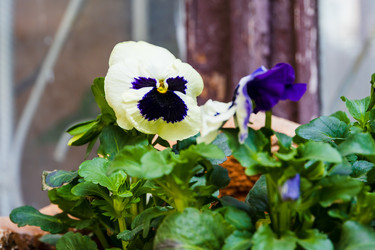 Similar image 22109000