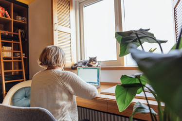 Similar image 22106245