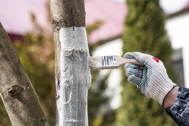 Similar image 22101194