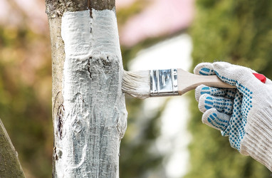 Similar image 22101195