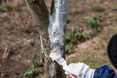 Similar image 22101196