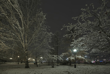 Similar image 22101037