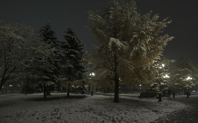 Similar image 22101038