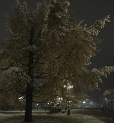 Similar image 22101039