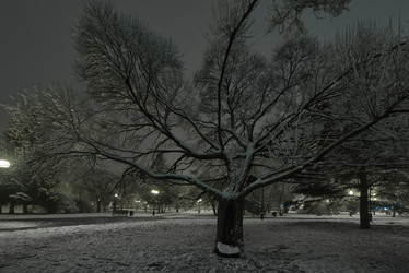 Similar image 22101042