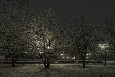 Similar image 22101044