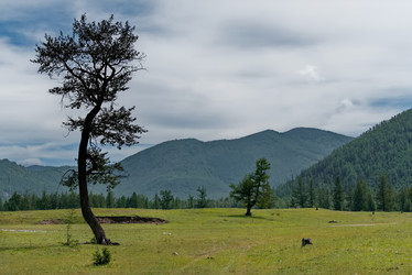 Similar image 22101045