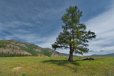 Similar image 22101047