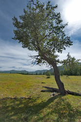 Similar image 22101048