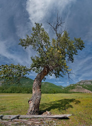 Similar image 22101049