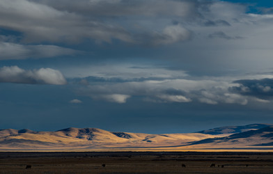 Similar image 22101056