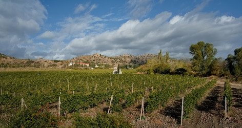 Similar image 22116932