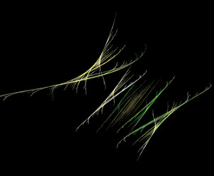 Similar image 22099525