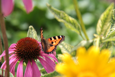 Similar image 22100913