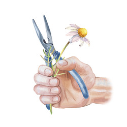 Similar image 22105929