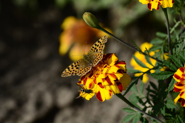 Similar image 22099610