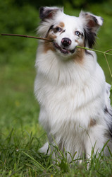 Similar image 22099611