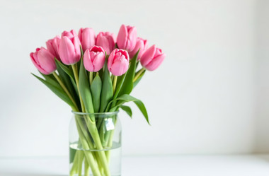 Similar image 22107320