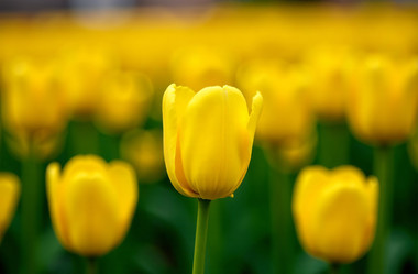 Similar image 22107414