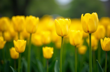 Similar image 22107416