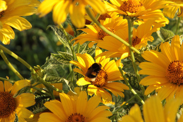 Similar image 22100916