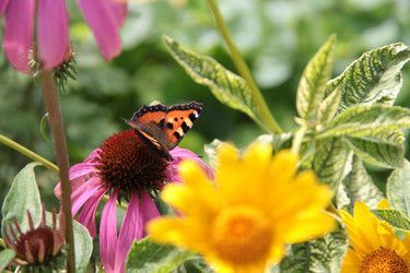 Similar image 22100917