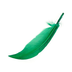 Similar image 22101197