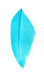 Similar image 22101199