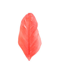 Similar image 22101201