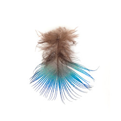 Similar image 22101202