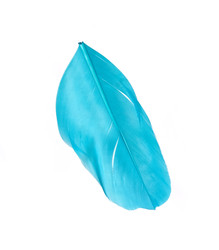 Similar image 22101207