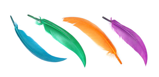 Similar image 22101208