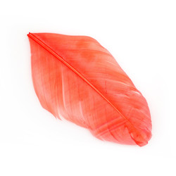 Similar image 22101210