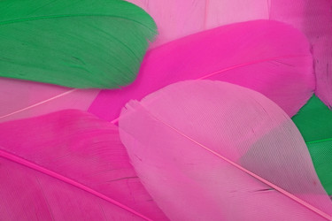 Similar image 22101212