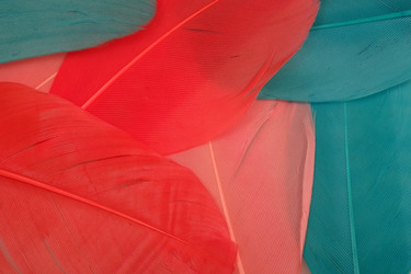 Similar image 22101216