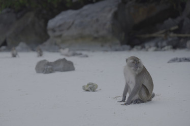 Similar image 22120792