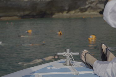 Similar image 22120793