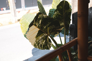 Similar image 22120794