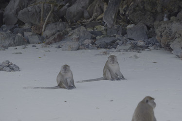 Similar image 22120795