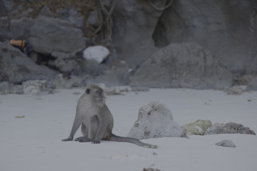 Similar image 22120797