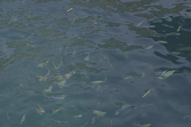 Similar image 22120798