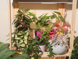 Similar image 22120799