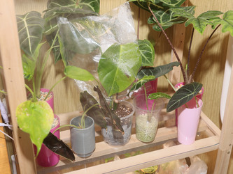 Similar image 22120808