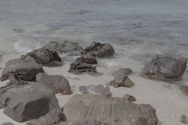 Similar image 22120813