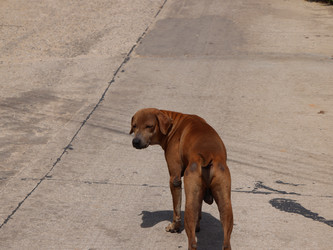 Similar image 22120821