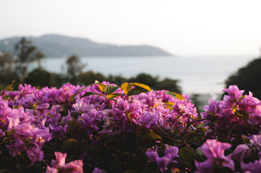 Similar image 22120823