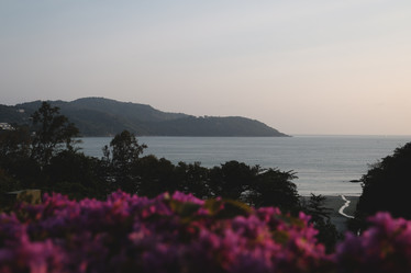 Similar image 22120825